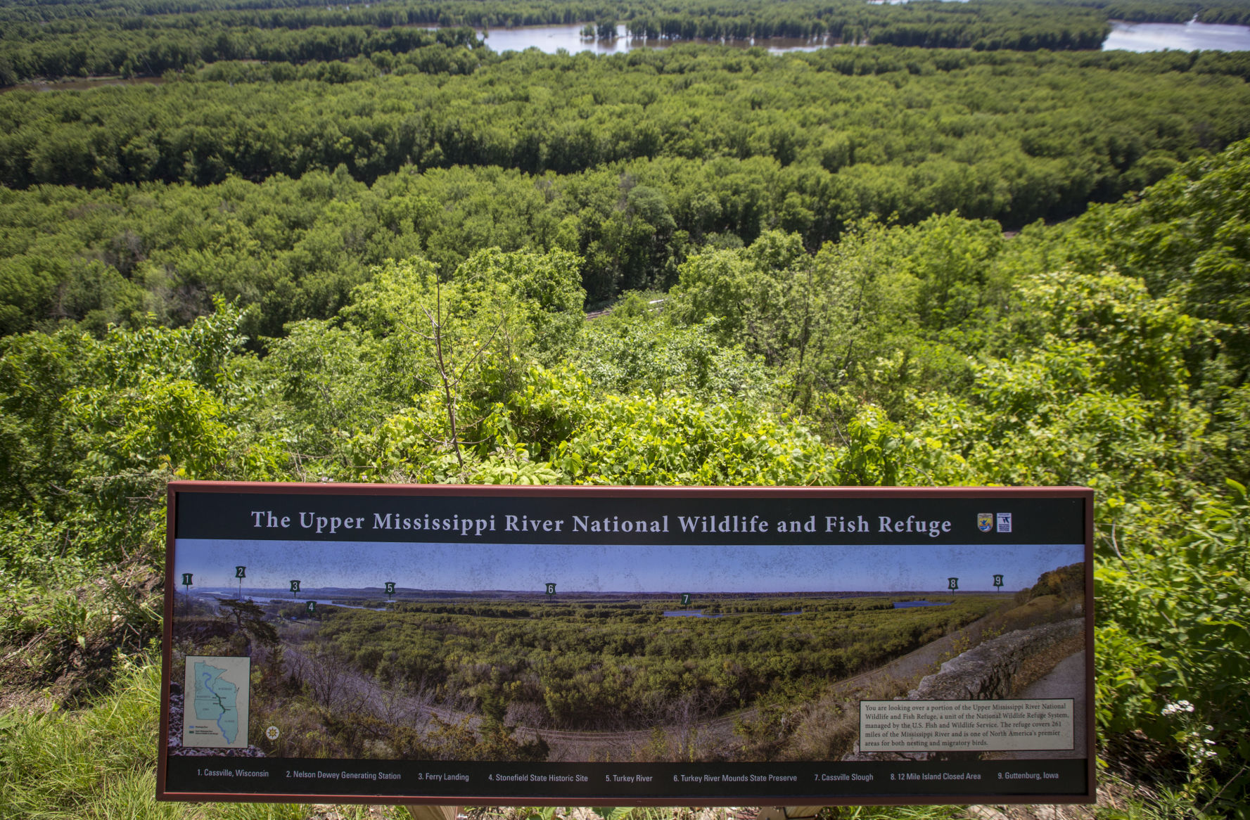 THE GREAT RIVER-0329